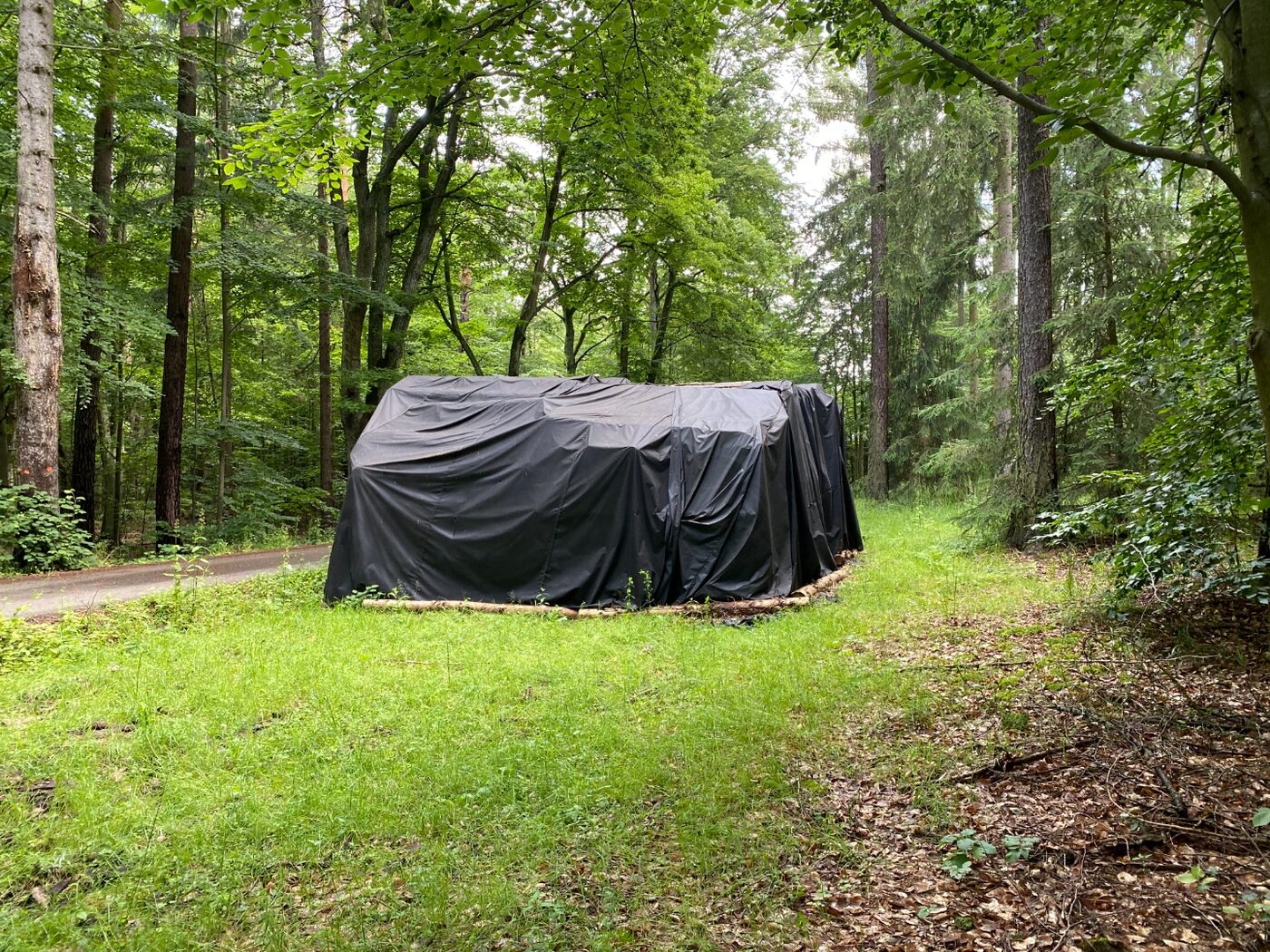 Mediva tarpaulin covering a log pile in summer forest conditions, June 2020