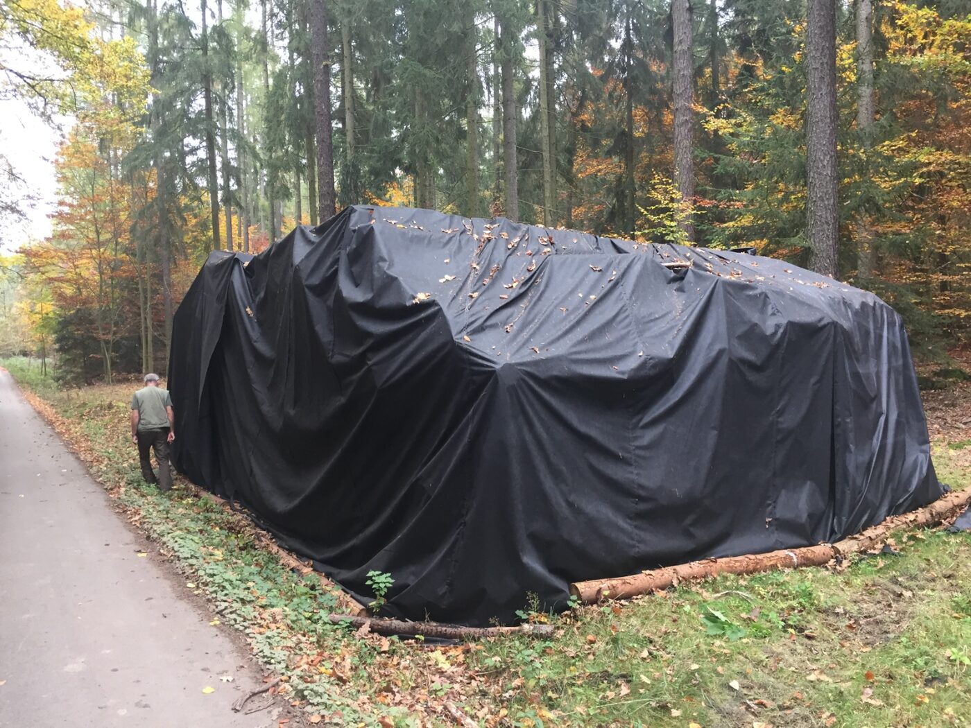 Mediva tarpaulin on large log pile, October 2019