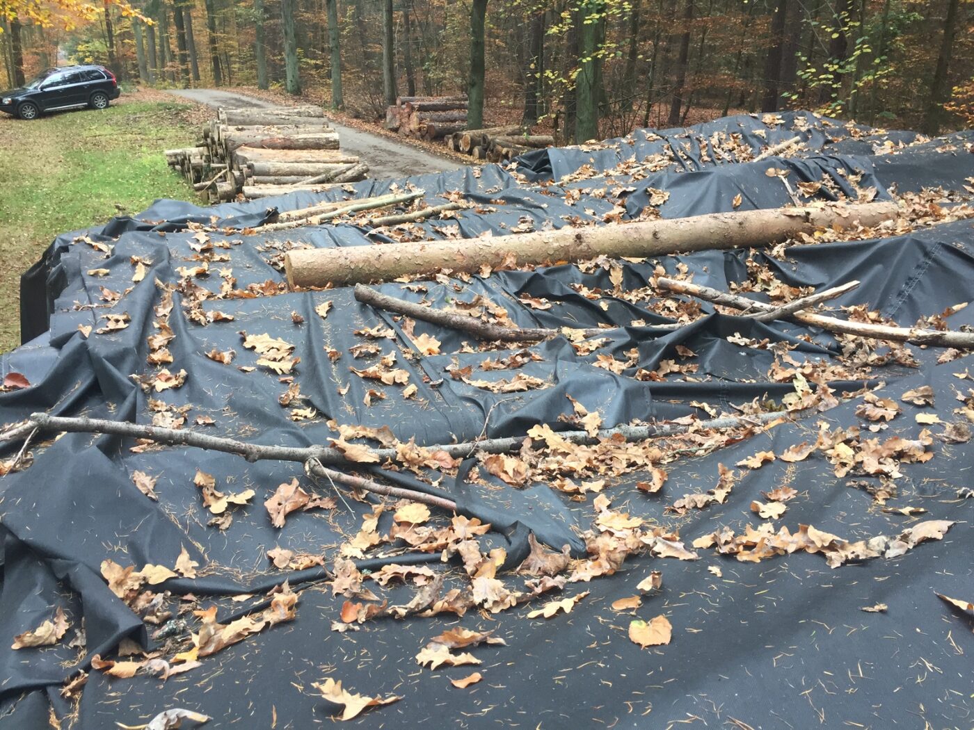 Detail of tarpaulin surface after months in forest conditions